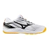 Boty Mizuno Cyclone Speed 5 V1GA258098