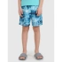 Chlapecké plážové šortky boardshorts 4F 4FJWSS25UBDSM118-90A