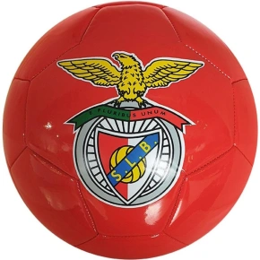 FOTBAL BENFICA R.5