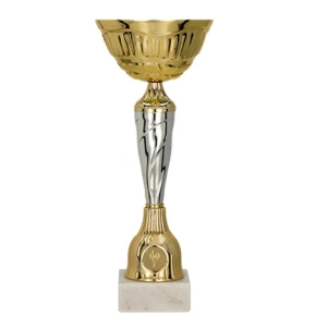 Zlatý a stříbrný kovový pohár