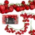 GAŁĄZKA GIRLANDA 180CM Z BOMBKAMI 80 SZT.MICA CZERWONA