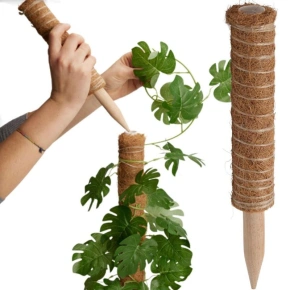 KOKOSOVÁ PODPĚRA PRO ROSTLINY 30 CM PROGARDEN KOKOSOVÁ PODPĚRA PRO ROSTLINY 30 CM PROGARDEN