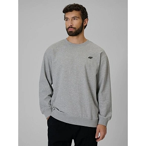 Pánská mikina z fleece, regular střih, bez kapuce, 4F 4FRMM00TSWSM3059-27M Pánská mikina z fleece, regular střih, bez kapuce, 4F 4FRMM00TSWSM3059-27M