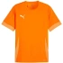 Puma teamGoal Matchday Jersey M 705747 08 pánské