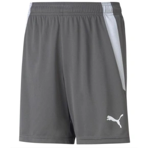 Puma teamLIGA Shorts Jr 704931 13