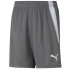 Puma teamLIGA Shorts Jr 704931 13