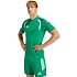 Pánské tričko adidas Tiro 26 League Jersey green KB1356 pánské