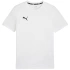 Puma Team Goal Casuals Tee M 658615 04 pánské