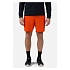 Pánské šortky ROSSIGNOL Sidelhorn Short 7" oranžové