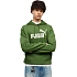 Pánská mikina Puma ESS No.1 Logo Hoodie FL zelená 682571 68 pánská