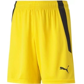 Puma teamLIGA Shorts Jr 704931 07