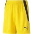 Puma teamLIGA Shorts Jr 704931 07