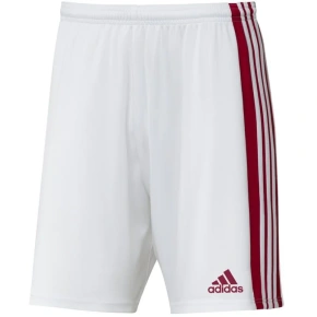 Pánské kraťasy Squadra 21 Short M GN5770 - Adidas