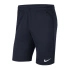 Pánské šortky Dri-FIT Park 20 M CW6152-451 - Nike