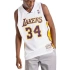 Mitchell & Ness Los Angeles Lakers NBA Shaquille O'Neal M tričko SMJY4442-LAL02SONWHIT pánské
