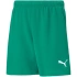 Dětské šortky Team RISEShort Jr 704943 05 - Puma