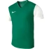 Pánské boty Dri-Fit Tiempo Premier 2 M DH8035 302 - Nike