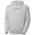 Helly Hansen Core Graphic Sweat Hoodie M 53924 825