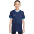 Tričko Nike Dri-Fit Academy 25 SS Jr FZ9758 410
