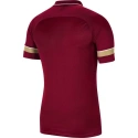 Dětské polo tričko Dri-FIT Academy 21 SS Jr CW6106 677 - Nike