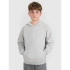 Chlapecká nepruhovaná mikina s kapucí 4F 4FJWMM00TSWSM1860-25M