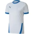 Puma teamGOAL 23 Jersey M 704171 12 pánské dresy
