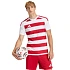 Pánské tričko adidas Hooped 26 Jersey red and white KF3388 pánské