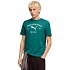 Pánské tričko Puma Class Graphic Tee green 692226 41 pánské