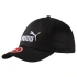 Puma Essential Cap Big Cat 052919 09