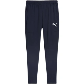 Pánské kalhoty Puma Team Goal Slim Training navy blue 659037 06