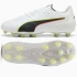 Boty Puma KING 20 Pro FG/AG 108461-01