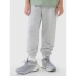 Chlapecké tepláky typu jogger 4F 4FJWMM00TTROM1188-25M