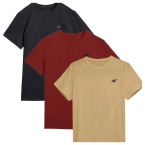 Trička 4F M 4FWSS25TTSHM3965-92S pánské