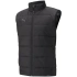Puma teamLiga Vest M 657968 03 pánské