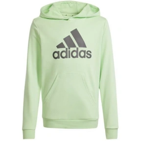 Mikina adidas Big Logo Hoodie Jr IS2591
