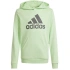 Mikina adidas Big Logo Hoodie Jr IS2591