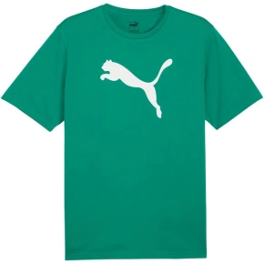 Puma Team Rise Logo Jersey Cotton M 658705 05 pánské