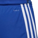 Pánské šortky Tastigo 19 M DP3682 - Adidas