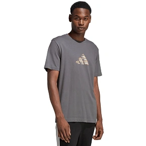 Pánské tričko adidas Camo Expolorer Graphic grey JZ7501 pánské