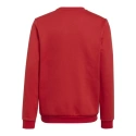 Dětská mikina Entrada 22 Sweat Jr H57473 - Adidas