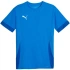 Puma teamGoal Matchday Jersey M 705747 02 pánské