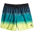 Šortky Billabong All Day Fade 16" EBYJV00121-BLK, zelené, velikost L
