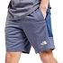 Pánské šortky The North Face Fleecové šortky pohodlného sportovního stylu