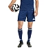 Pánské šortky adidas Tiro 26 League navy blue KA8790