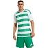 Pánské tričko adidas Hooped 26 Jersey white and green KF3393 pánské