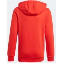 Dětská mikina Essentials Big Logo Hoodie Jr GN4037 - Adidas