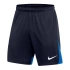 Šortky Nike Dri-FIT Academy Pro M DH9236-451