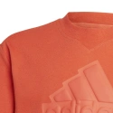 Dětské tričko FI Logo Jr HR6296 - Adidas