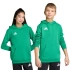 Dětská mikina adidas Entrada 26 Hoody zelená JZ6563
