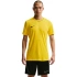 Pánské tričko Nike Dri-Fit Park 26 SS Top yellow HM7127 719 pánské